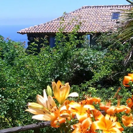Apartment Finca Flores - Casa Flores *